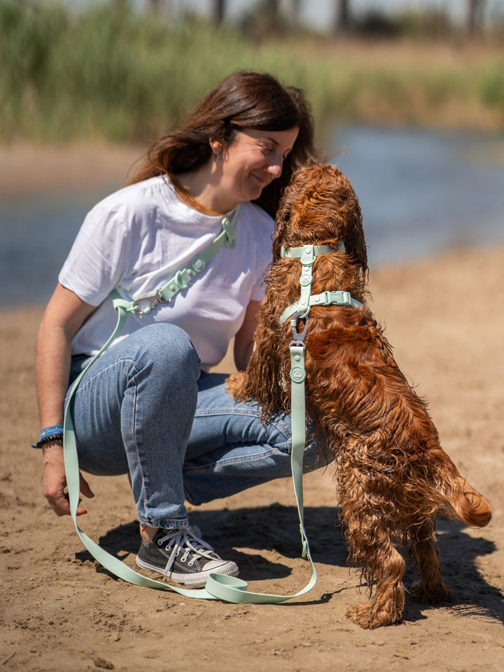 WATERPROOF HANDS-FREE LEASH TURQUOISE