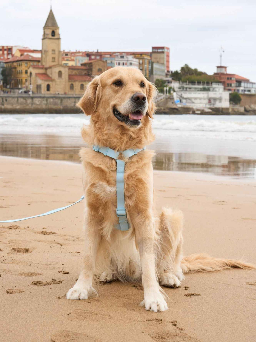 WATERPROOF DOG HARNESS SKY BLUE