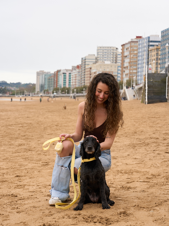 COLLARE WATERPROOF PER CANE YELLOW