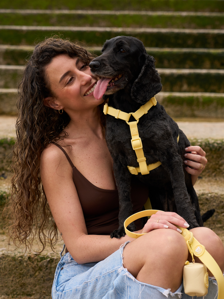 ARNES WATERPROOF PARA PERRO YELLOW
