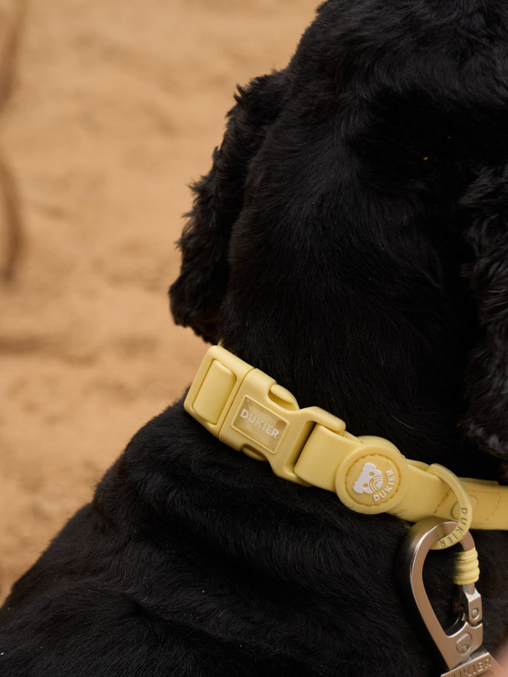 WATERPROOF DOG COLLAR YELLOW