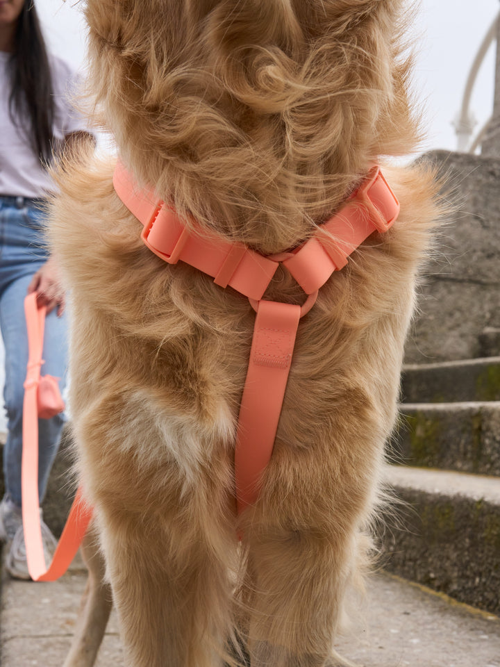 HARNAIS WATERPROOF CORAL POUR CHIEN
