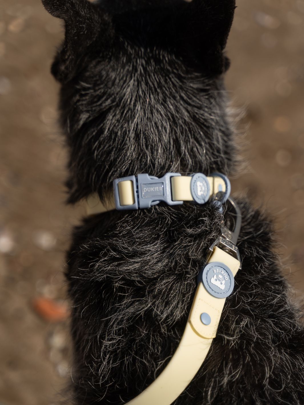 WATERPROOF HUNDEHALSBAND VANILLA BLUE