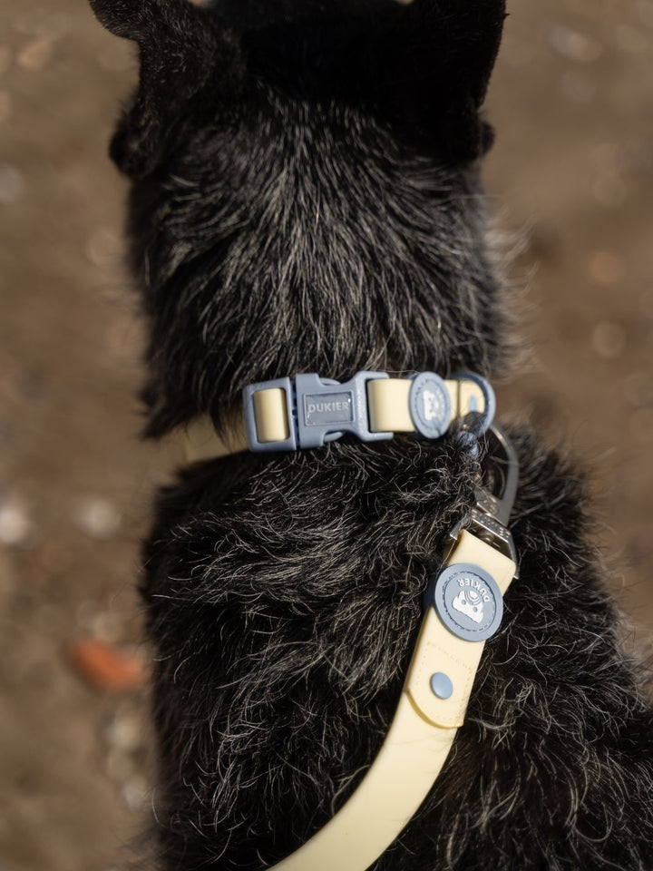 WATERPROOF HUNDEHALSBAND VANILLA BLUE