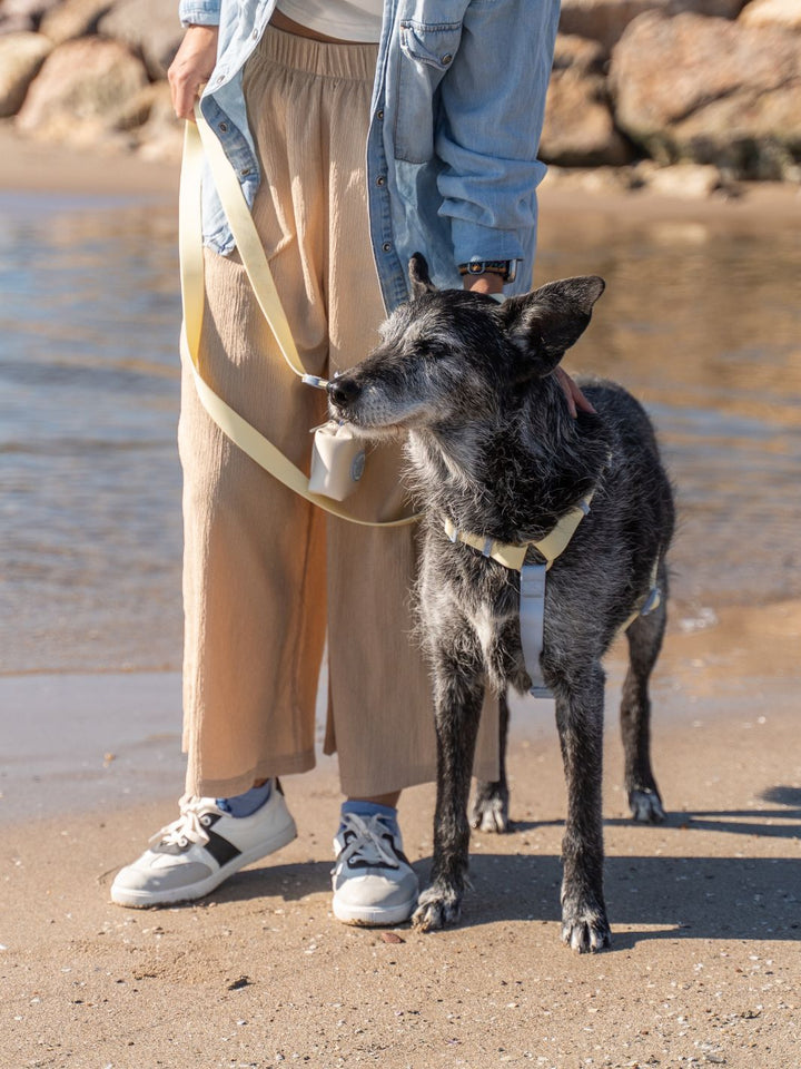 ARNES WATERPROOF PARA PERRO VANILLA BLUE