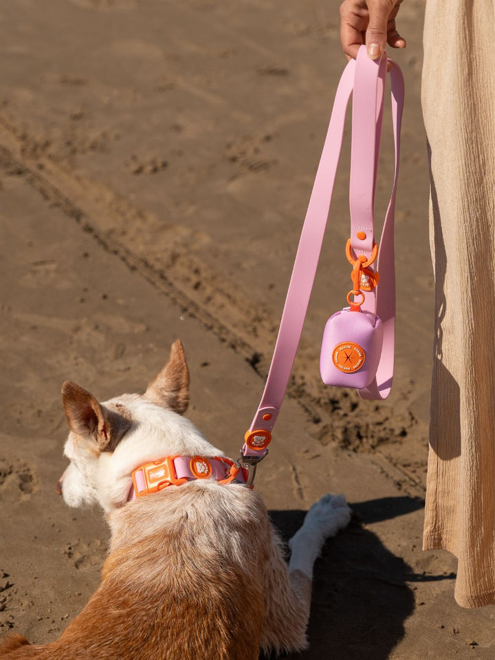 WATERPROOF DOG COLLAR TANGERINE PINK