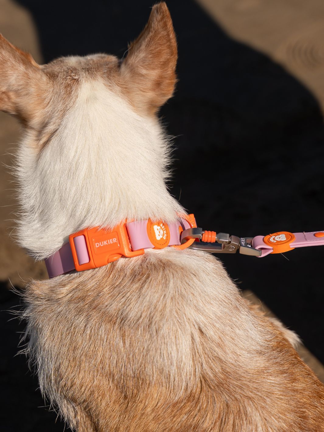 WATERPROOF DOG COLLAR TANGERINE PINK