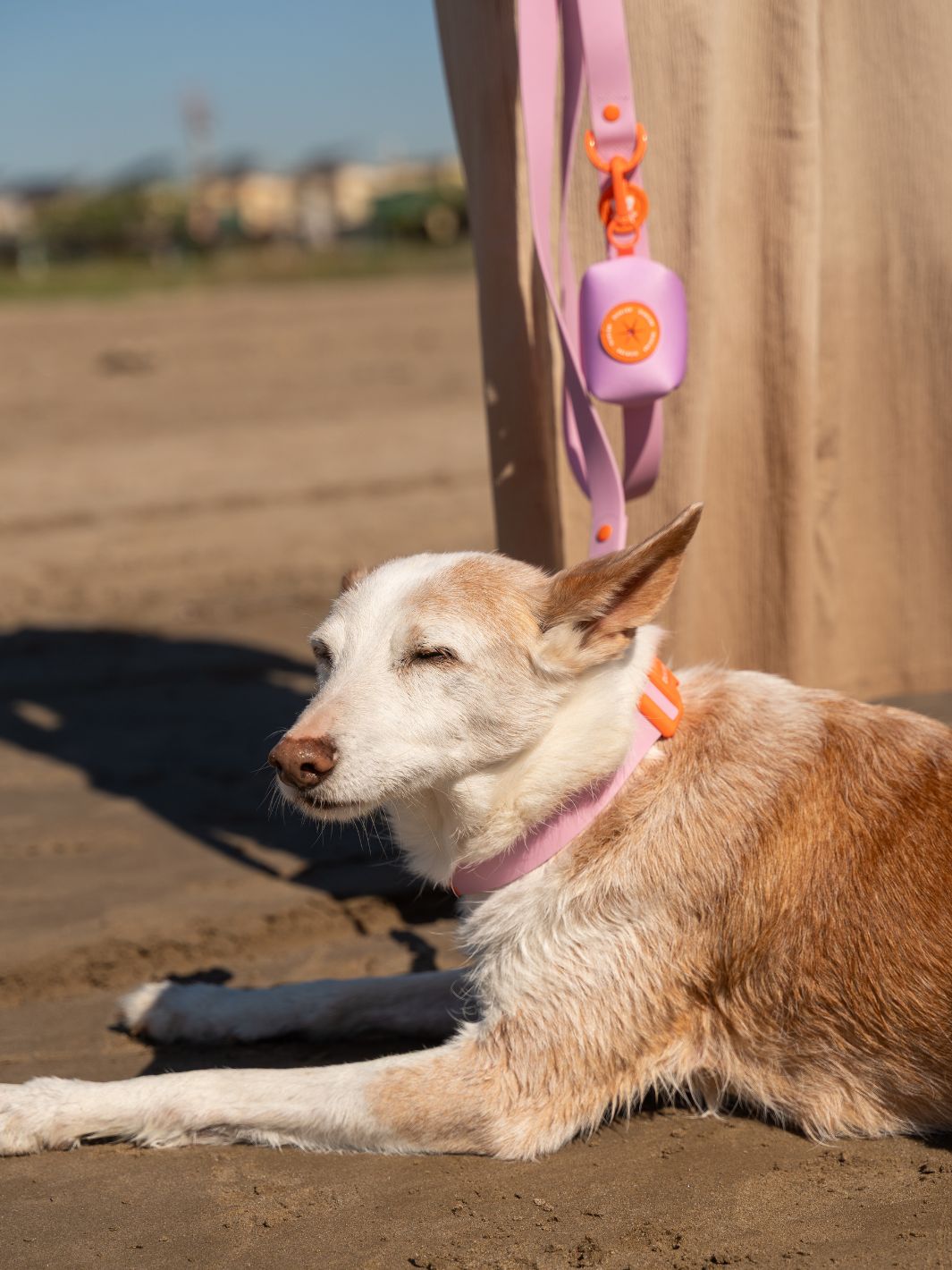 WATERPROOF DOG COLLAR TANGERINE PINK