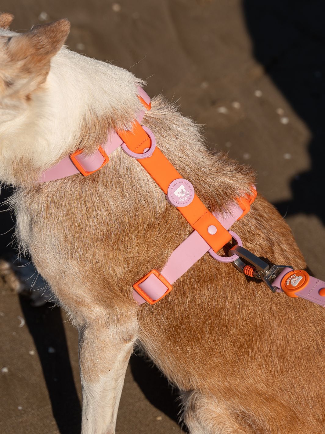 ARNÊS WATERPROOF PARA CÃES TANGERINE PINK