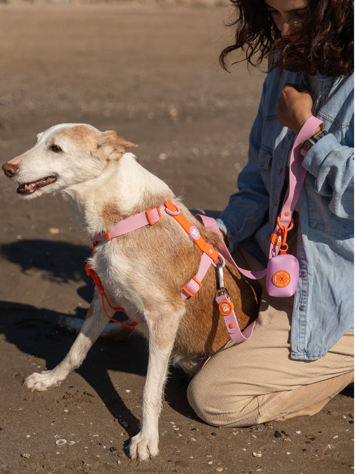 ARNÊS WATERPROOF PARA CÃES TANGERINE PINK