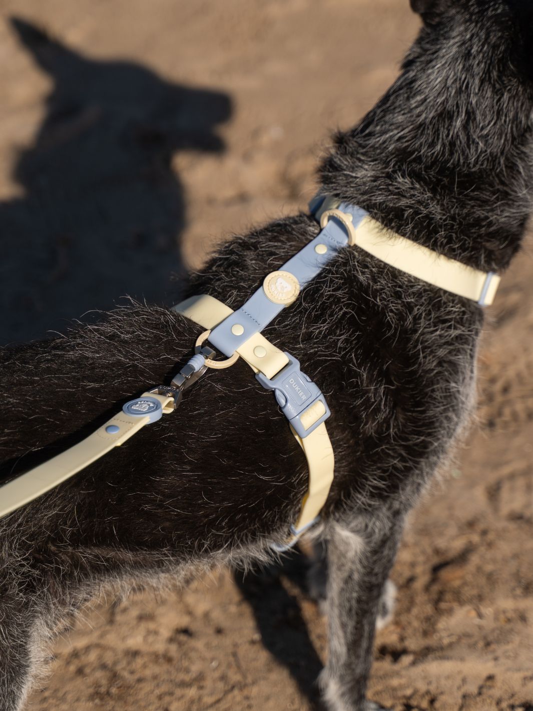 WATERPROOF DOG LEASH VANILLA BLUE