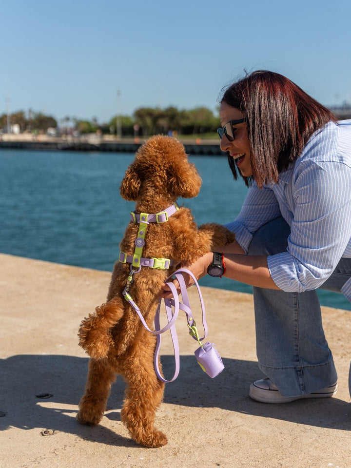 ARNES WATERPROOF PARA PERRO VIOLET MATCHA