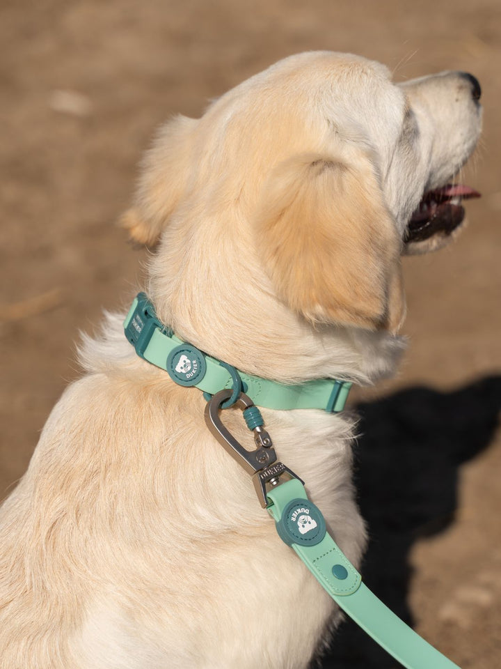 CORREA WATERPROOF PARA PERRO JADE MINT