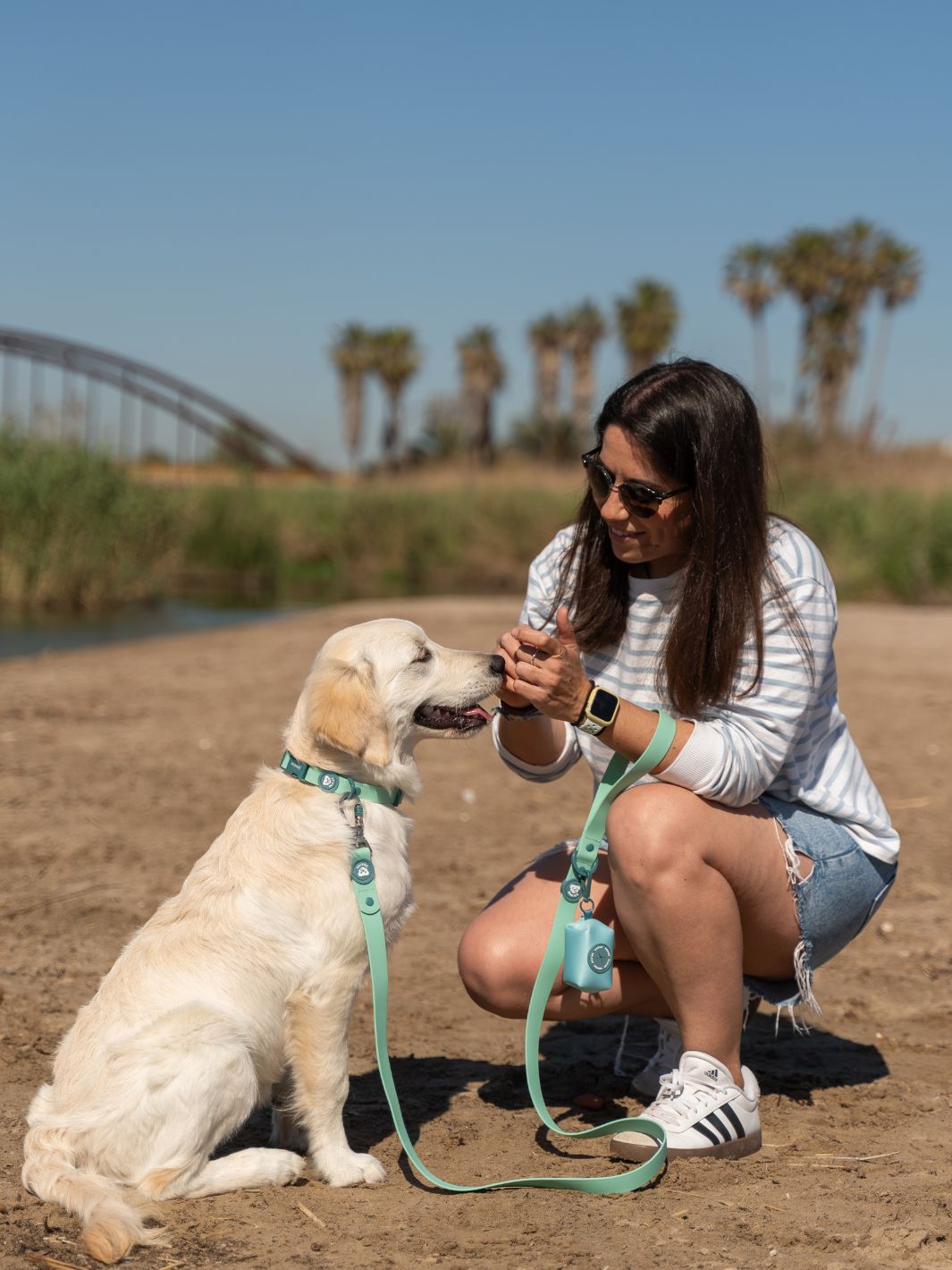 CORREA WATERPROOF PARA PERRO JADE MINT