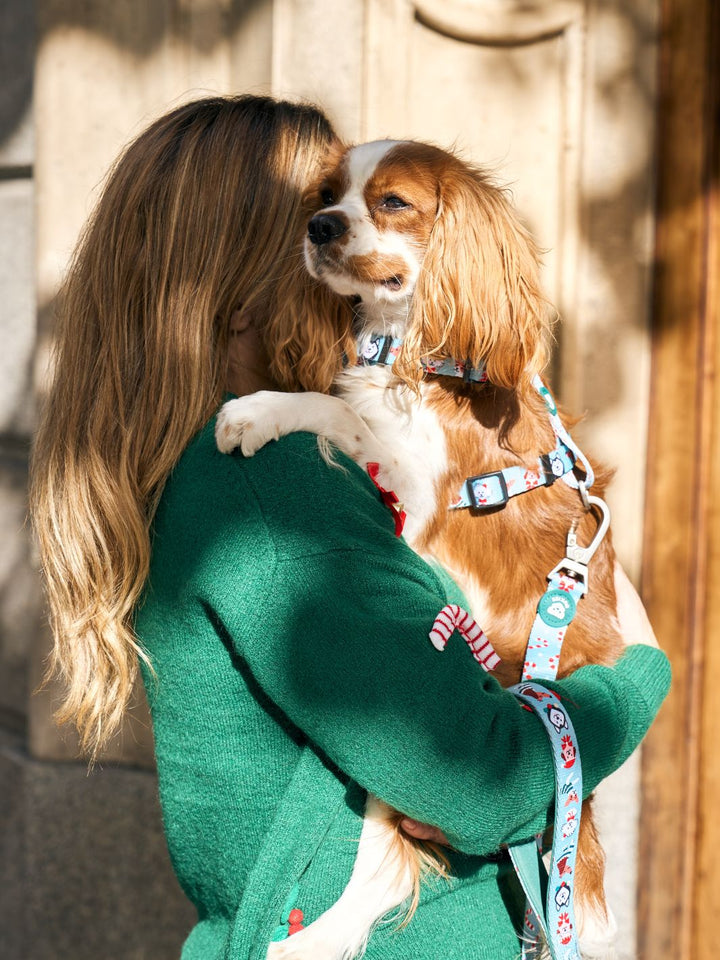 XMAS DOGS CLASSIC DOG HARNESS
