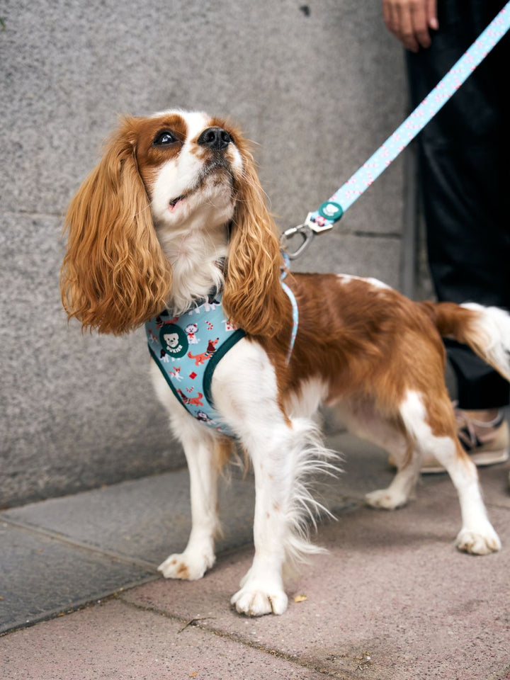 XMAS DOGS ADJUSTABLE DOG HARNESS