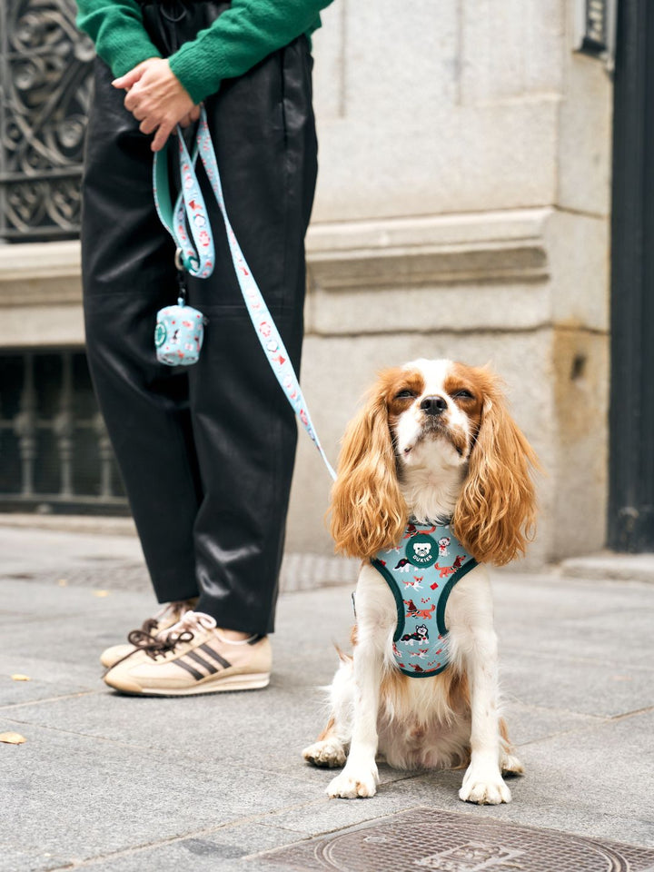 XMAS DOGS ADJUSTABLE DOG HARNESS