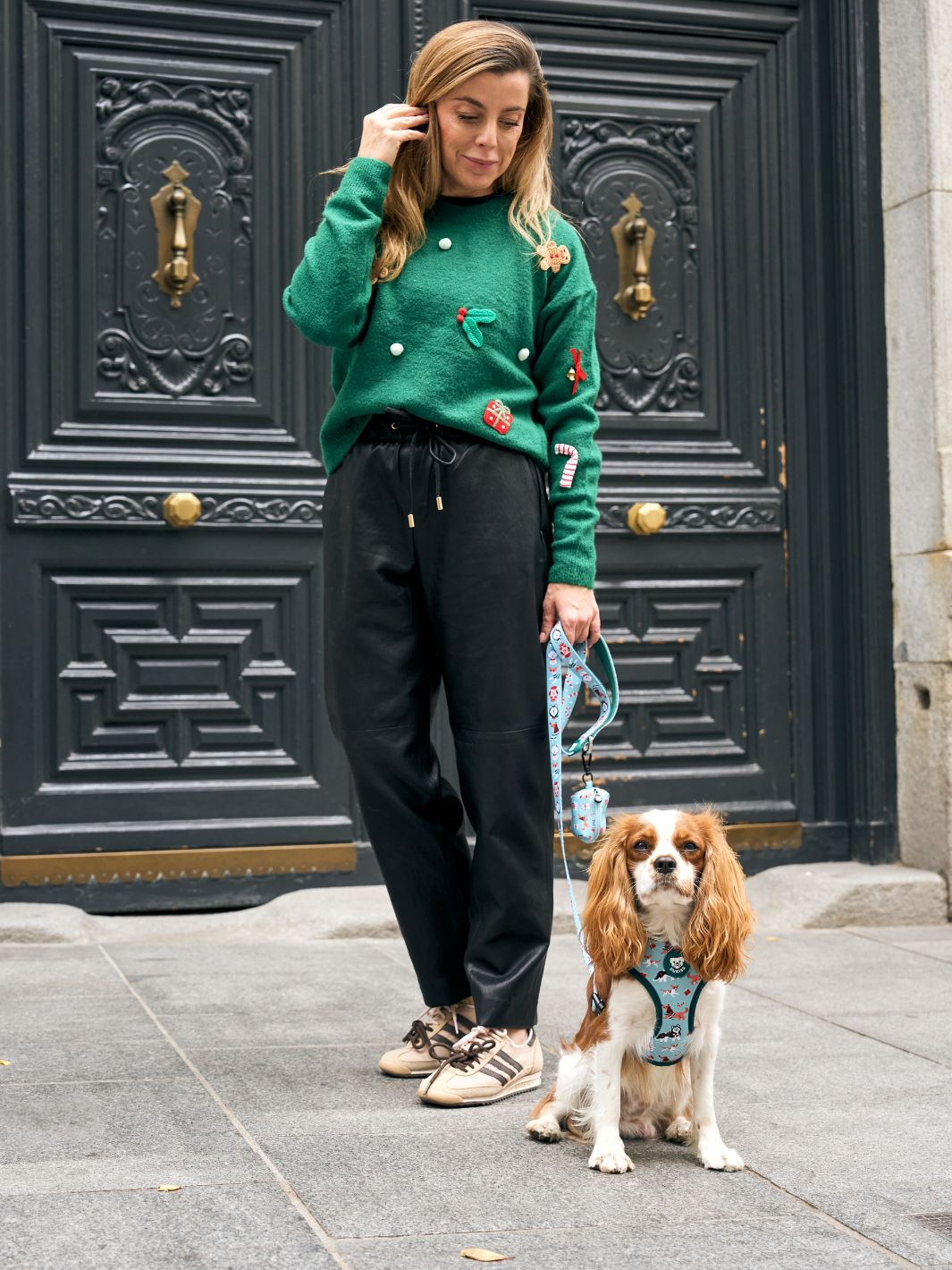 XMAS DOGS ADJUSTABLE DOG HARNESS