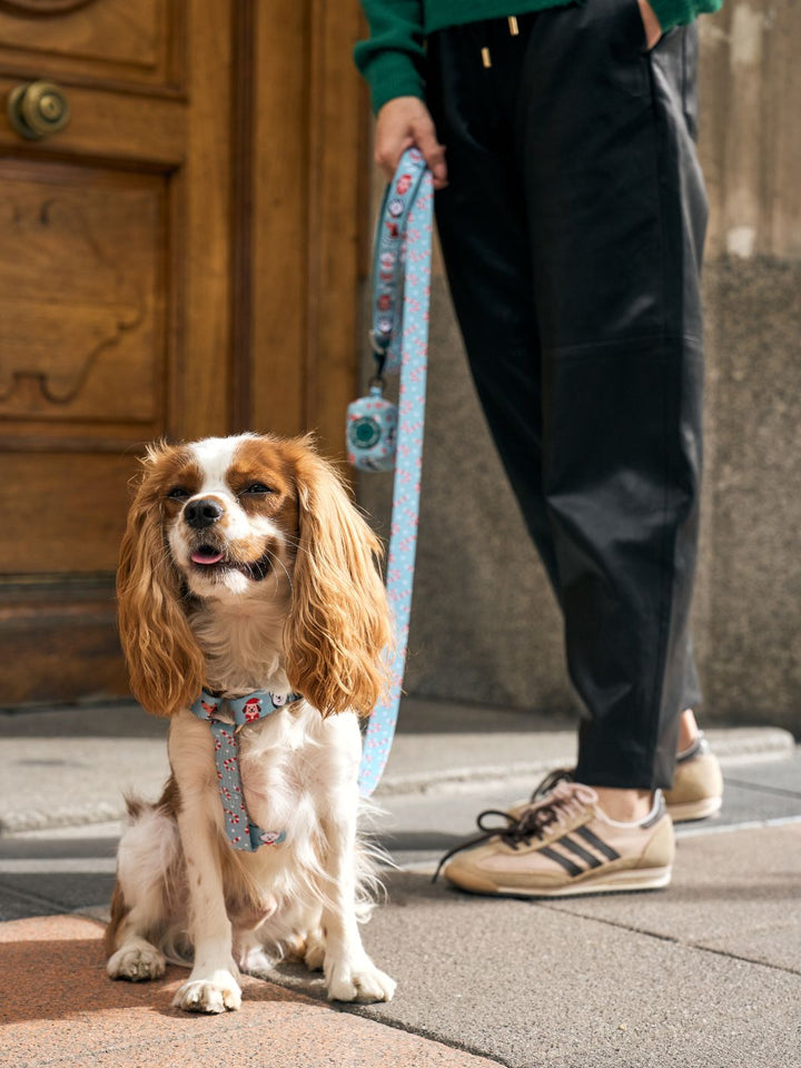XMAS DOGS CLASSIC DOG HARNESS