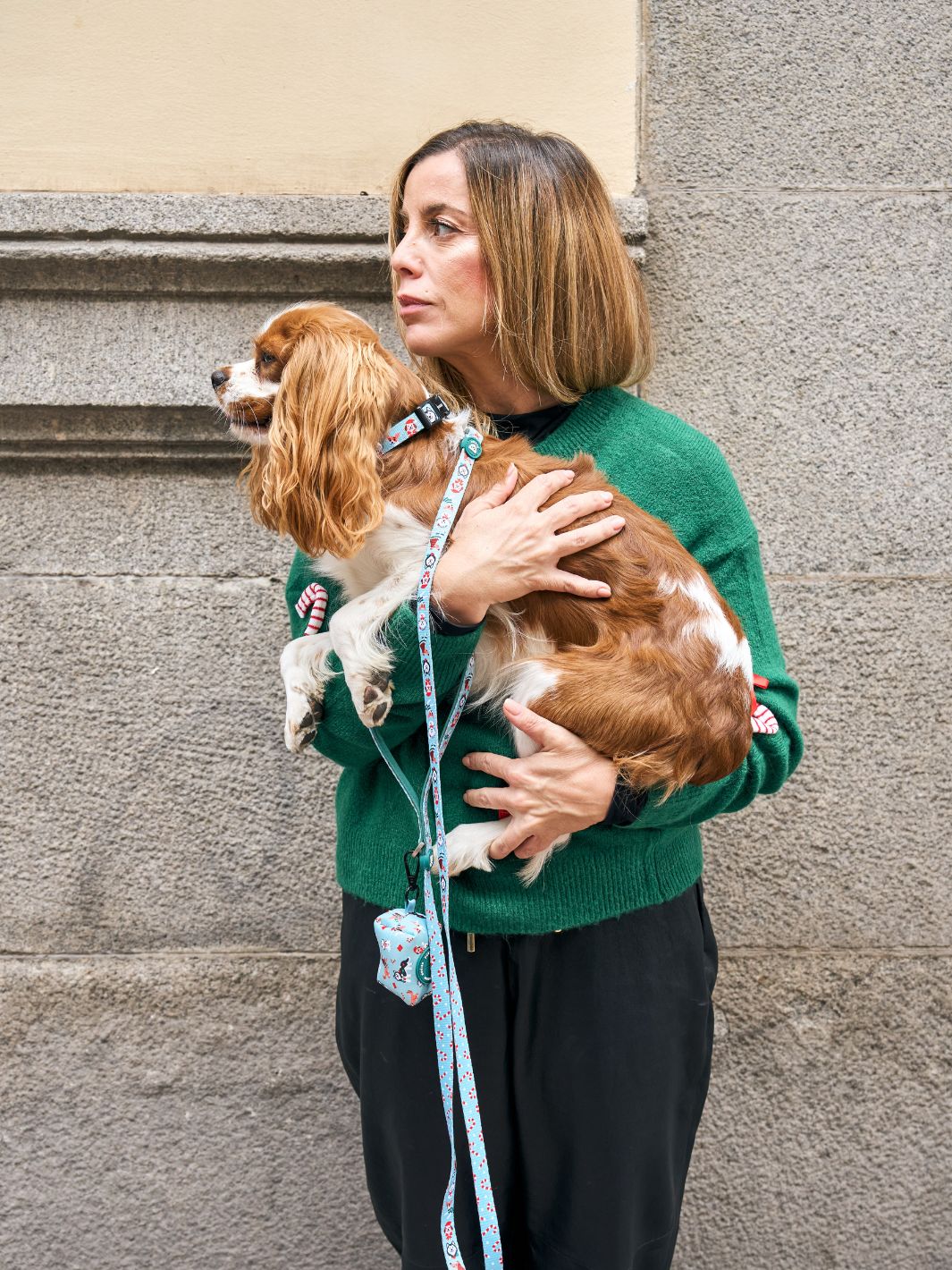 XMAS DOGS DOG COLLAR