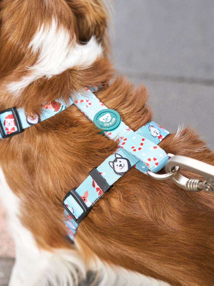 XMAS DOGS CLASSIC DOG HARNESS