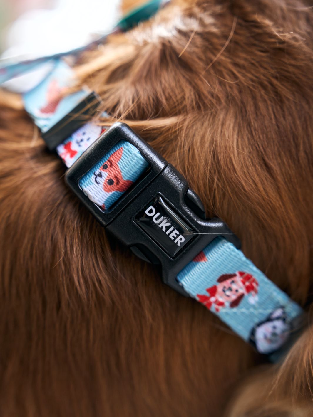 XMAS DOGS DOG COLLAR