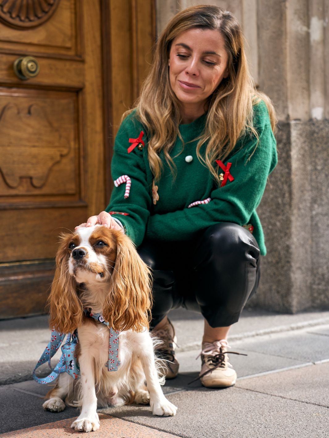 XMAS DOGS CLASSIC DOG HARNESS