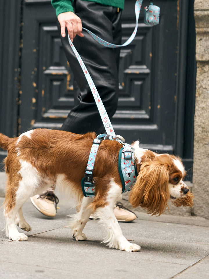 XMAS DOGS LEASH FOR DOGS