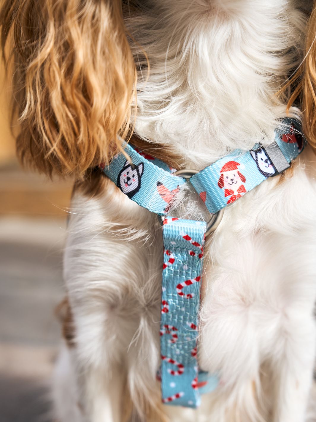 XMAS DOGS CLASSIC DOG HARNESS