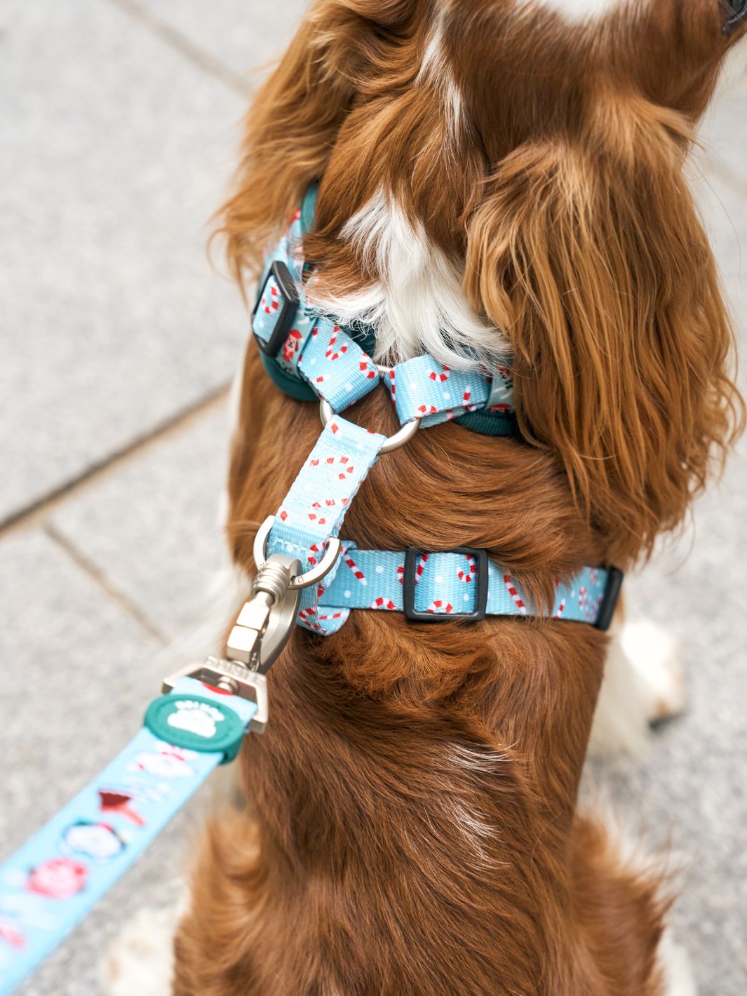 XMAS DOGS LEASH FOR DOGS