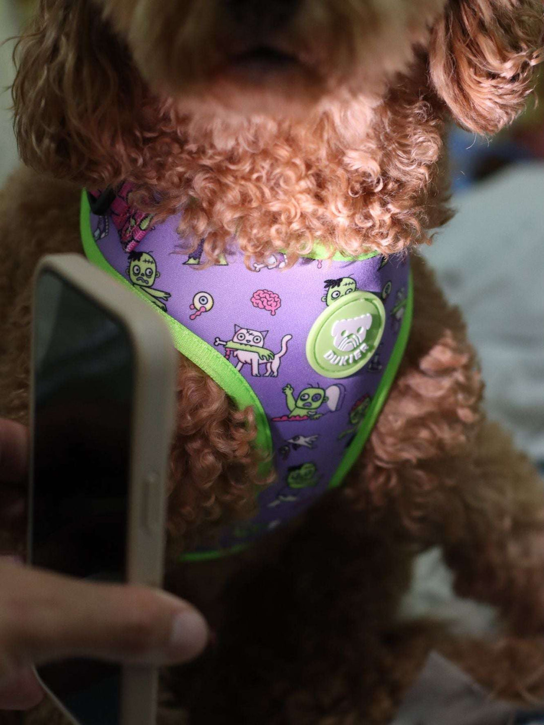 ARNES AJUSTABLE PARA PERRO ZOMBIE