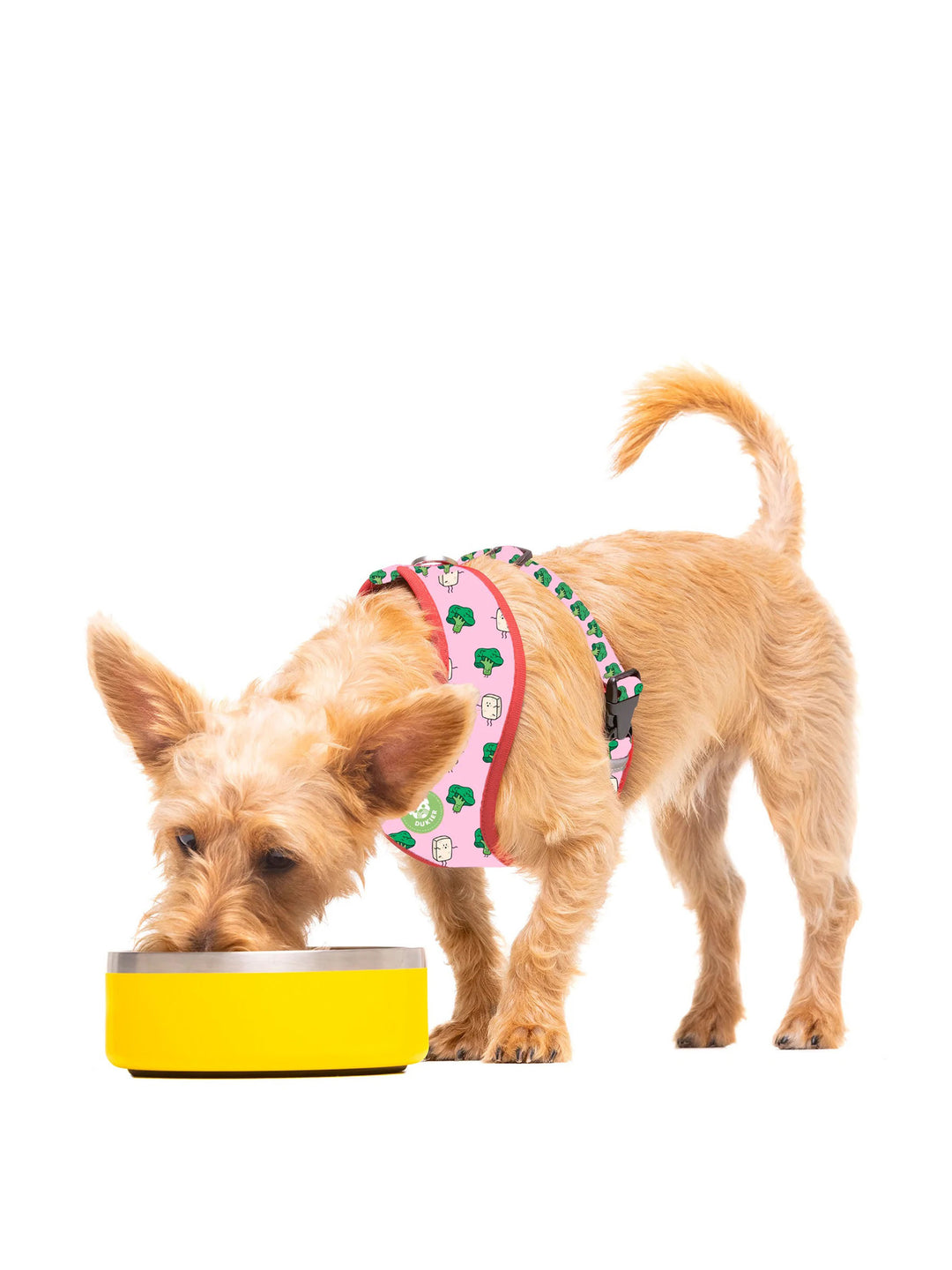DUKIER BOWL YELLOW