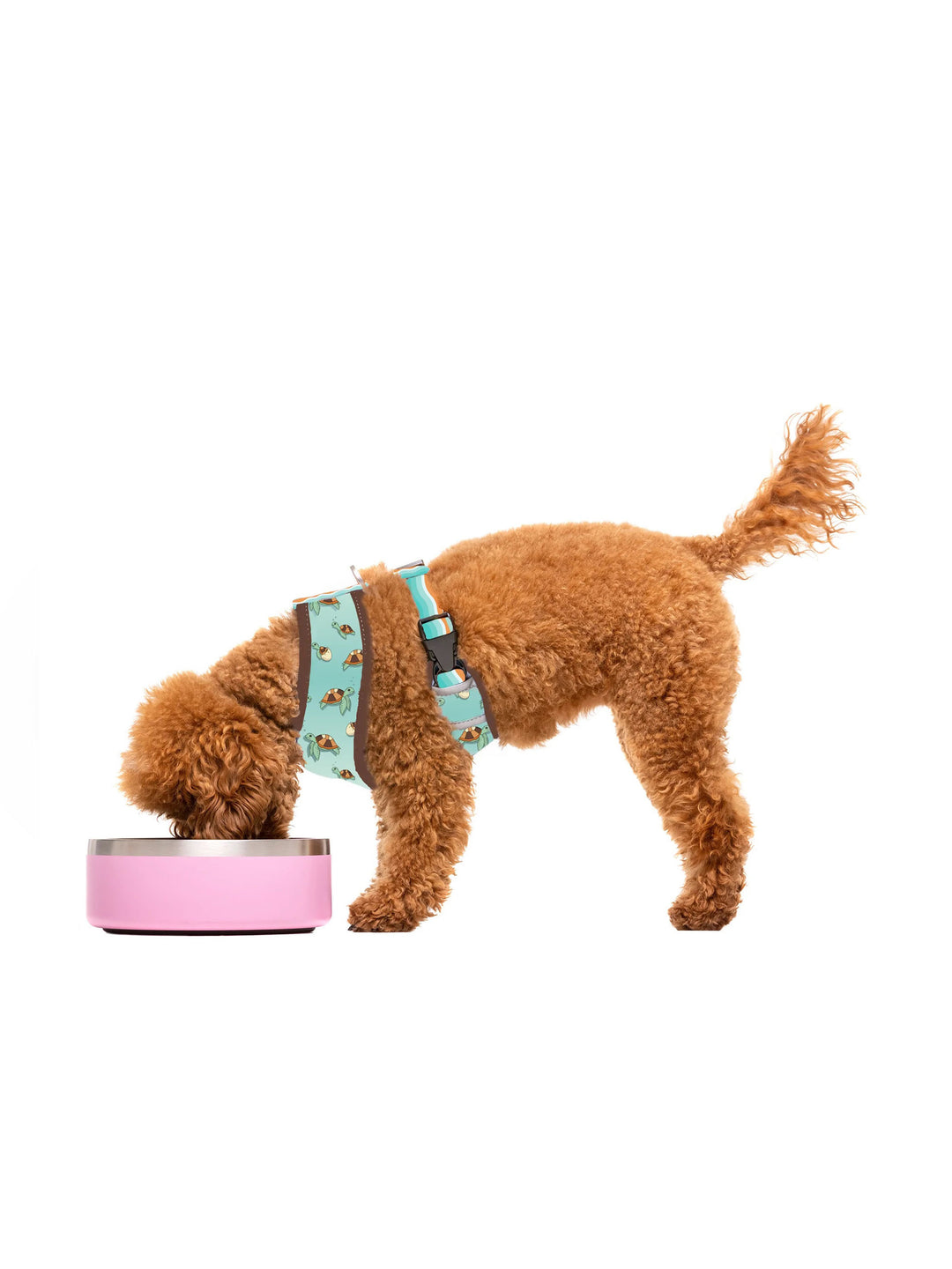 COMEDOURO PARA CÃES DUKIER PINK