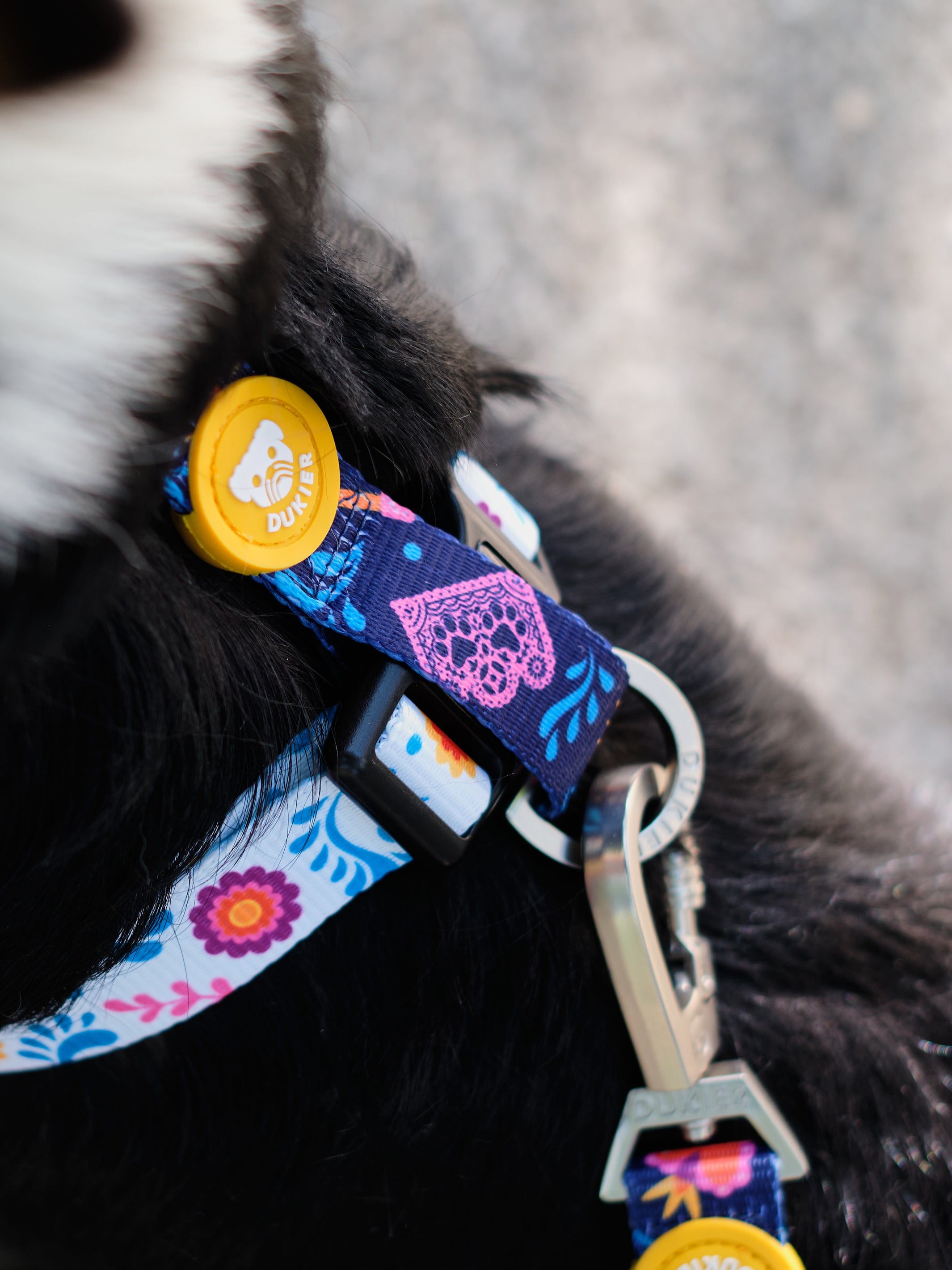 CLASSIC HARNESS CATRINA FOR DOGS