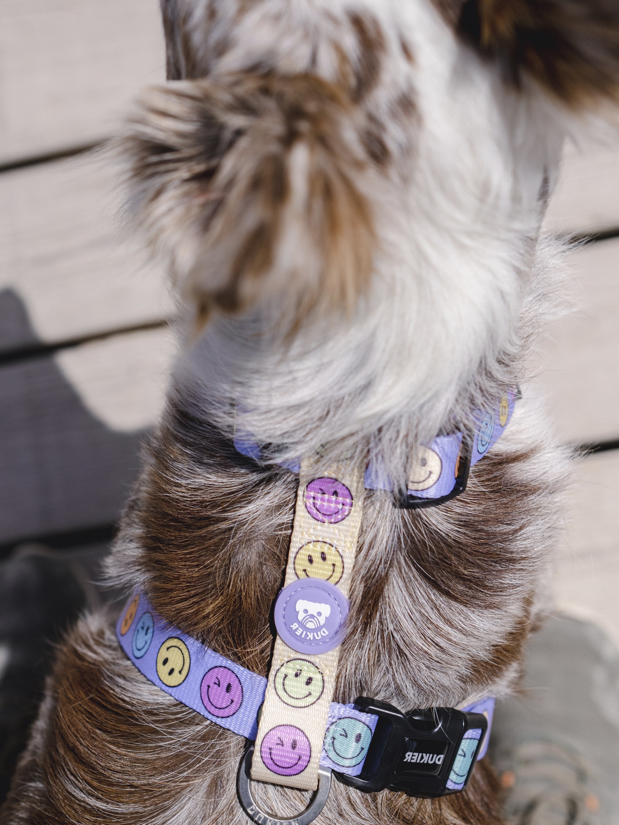 SMILEY CLASSIC DOG HARNESS