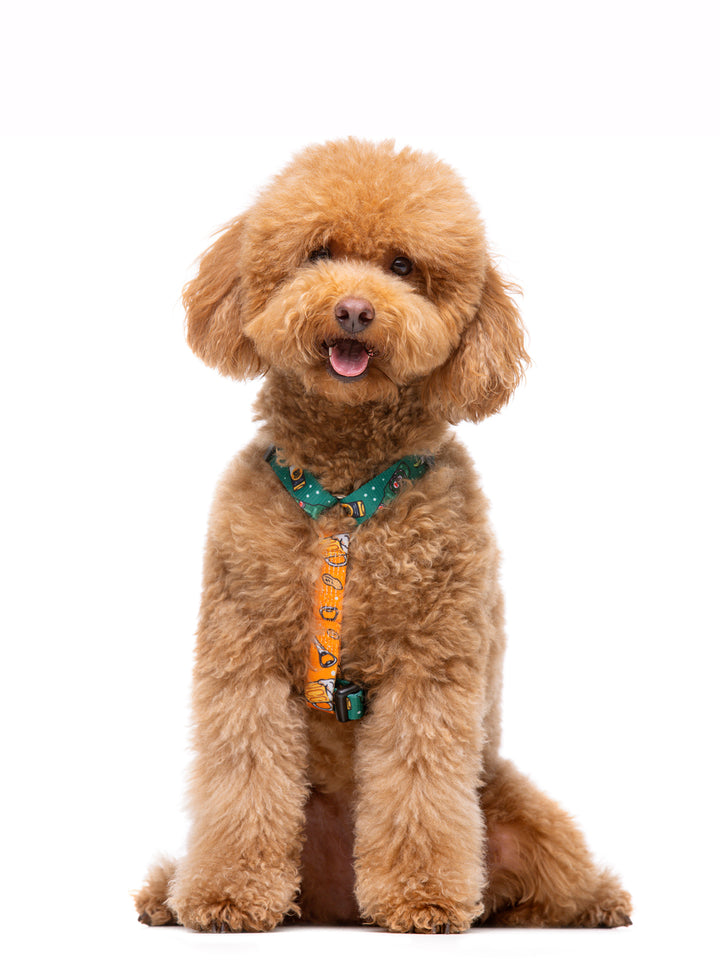 BEER CLASSIC DOG HARNESS