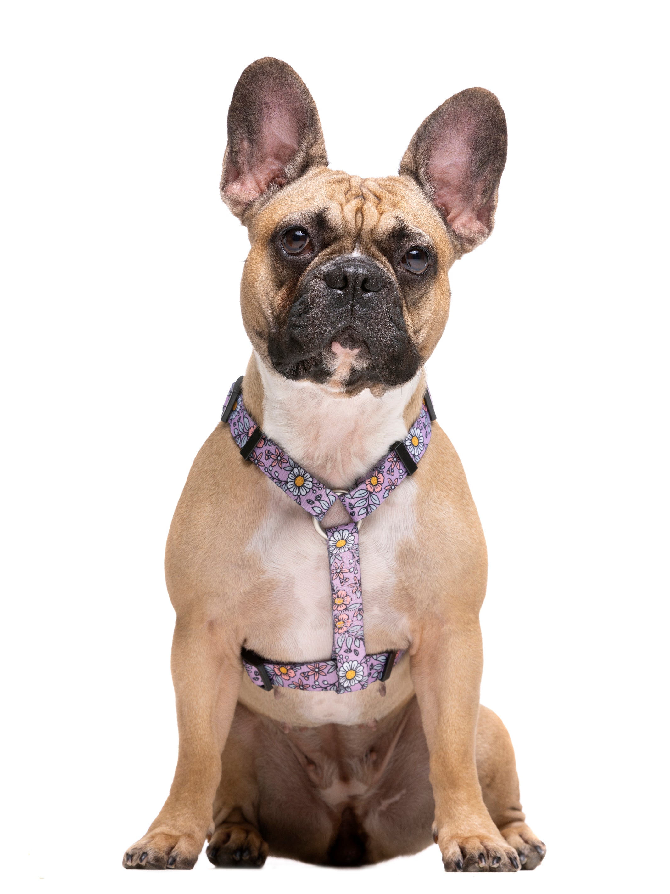 FLOWER POWER  CLASSIC HARNESS FOR DOGS