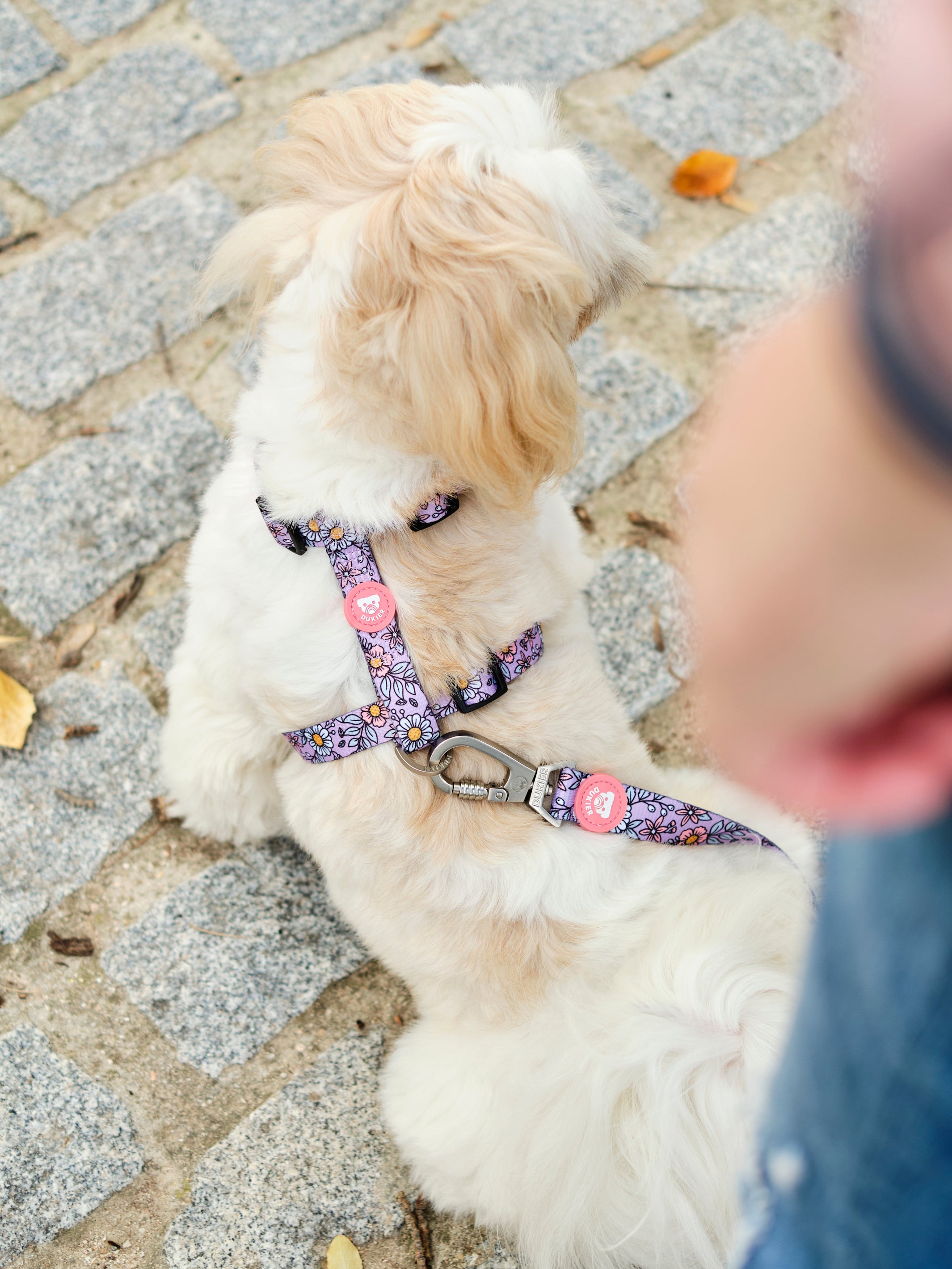 CLASSIC HARNESS FLOWER POWER FOR DOGS