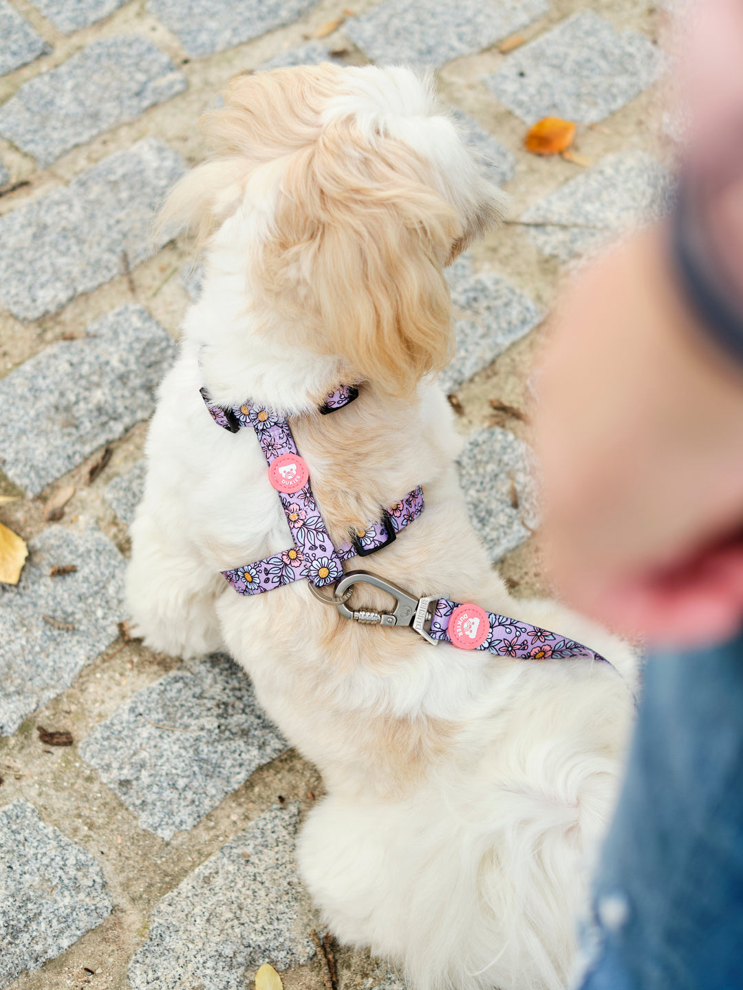 FLOWER POWER  CLASSIC HARNESS FOR DOGS
