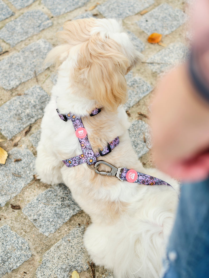 FLOWER POWER  CLASSIC HARNESS FOR DOGS