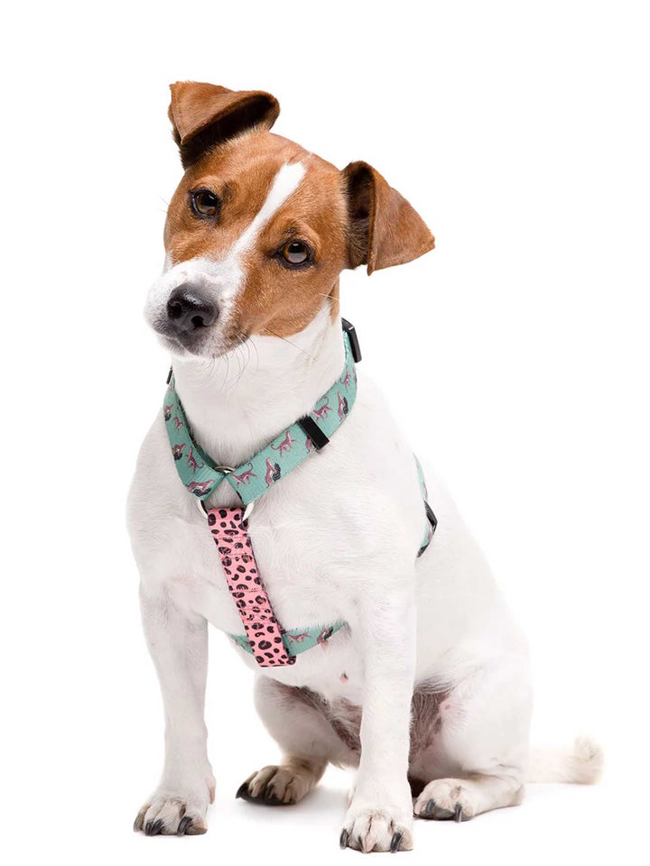 LEOPARD CLASSIC DOG HARNESS