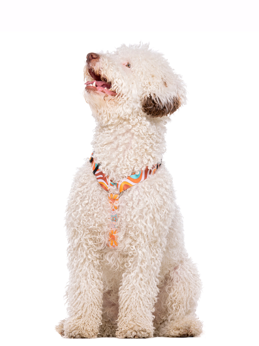 PEACE CLASSIC DOG HARNESS