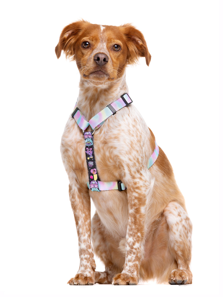 CLASSIC HARNESS PINK GALAXY FOR DOGS