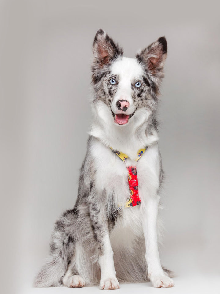 CLASSIC SUPERDOG DOG HARNESS