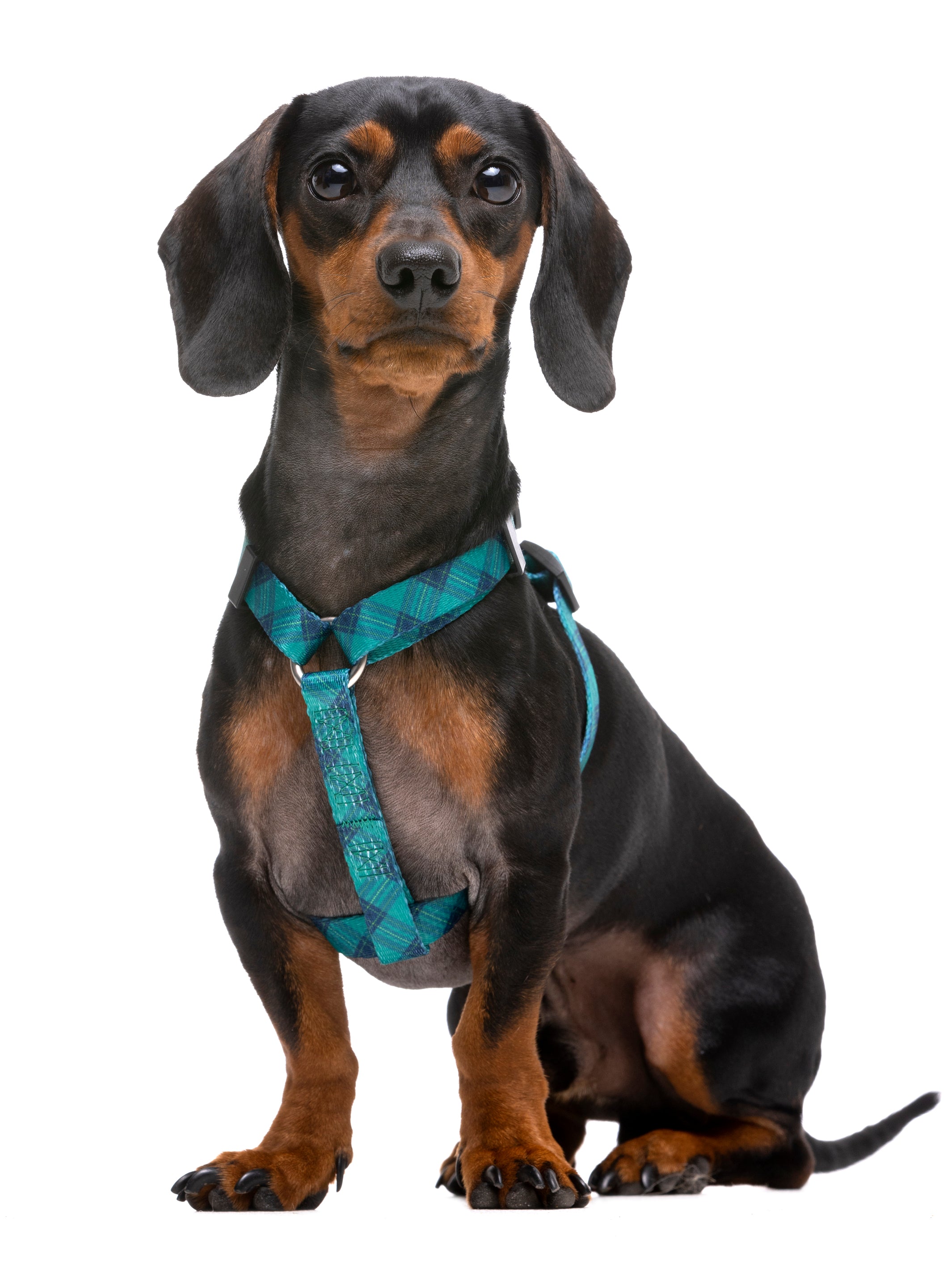 CLASSIC HARNESS TARTÁN FOR DOGS