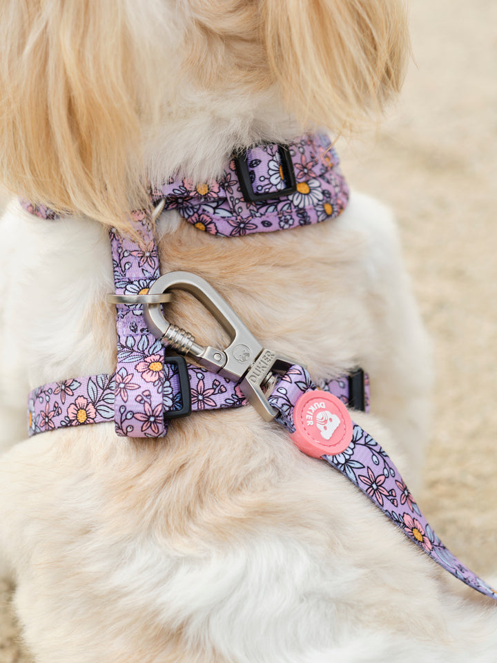 ARNES AJUSTABLE PARA PERRO FLOWER POWER