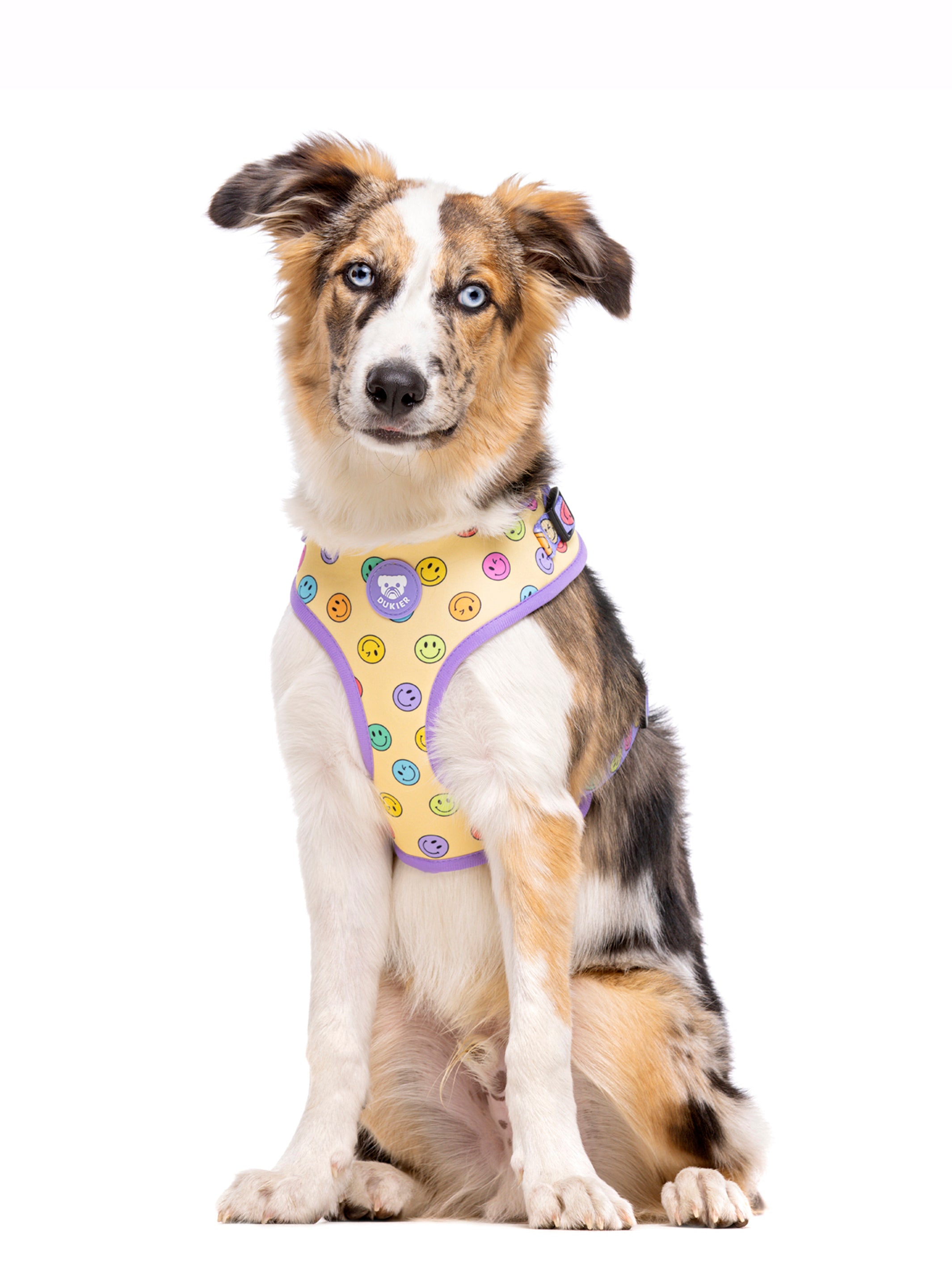 SMILEY ADJUSTABLE DOG HARNESS