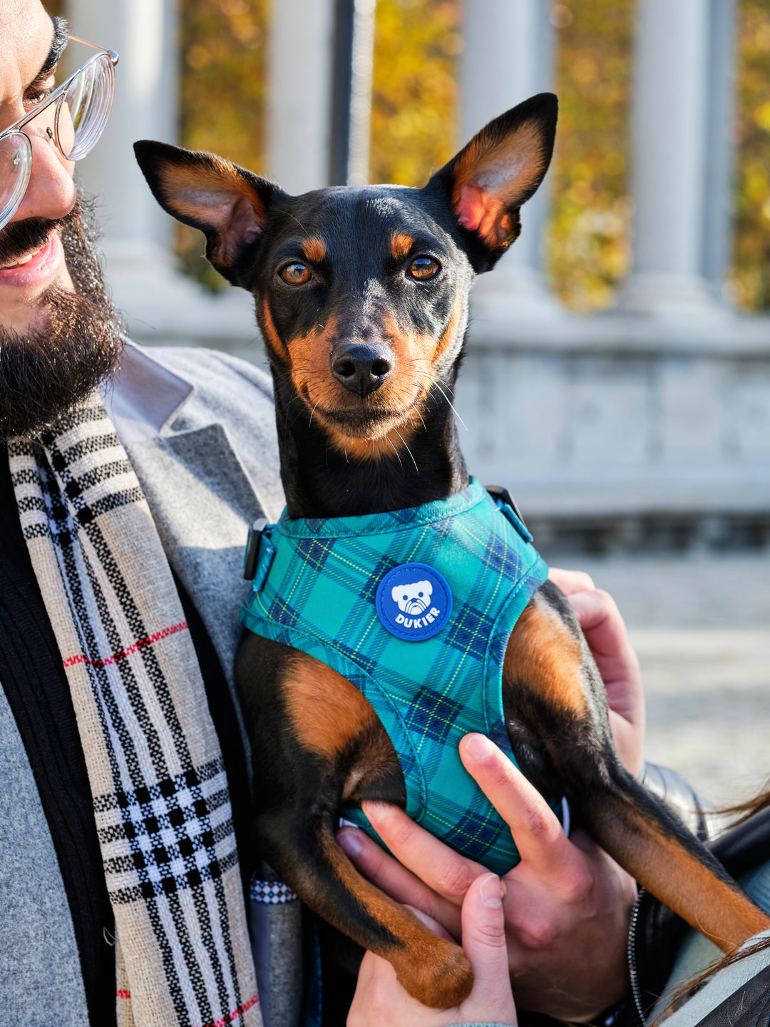 ARNÉS AJUSTABLE PARA PERRO TARTÁN