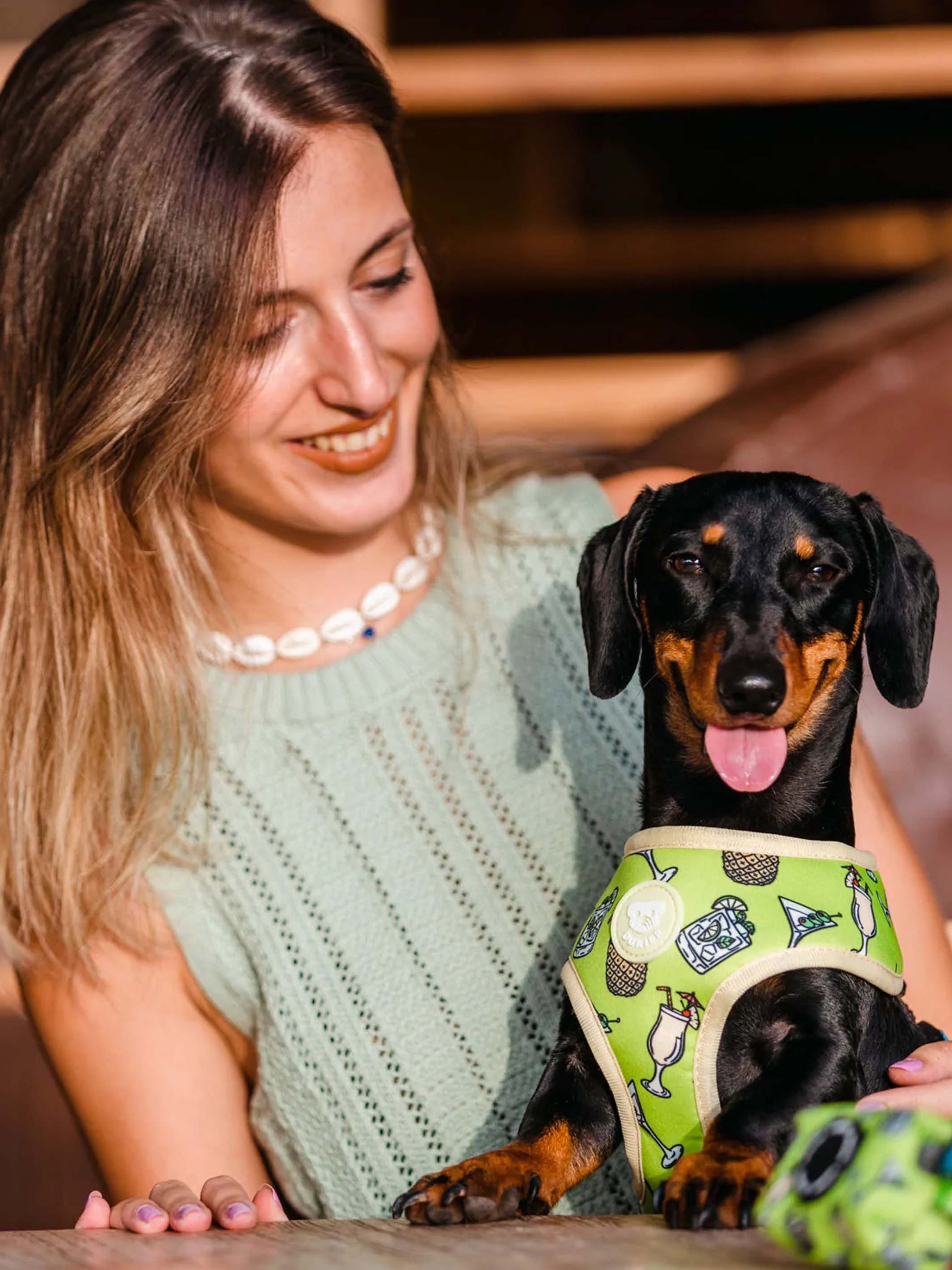 COCKTAIL REVERSIBLE DOG HARNESS