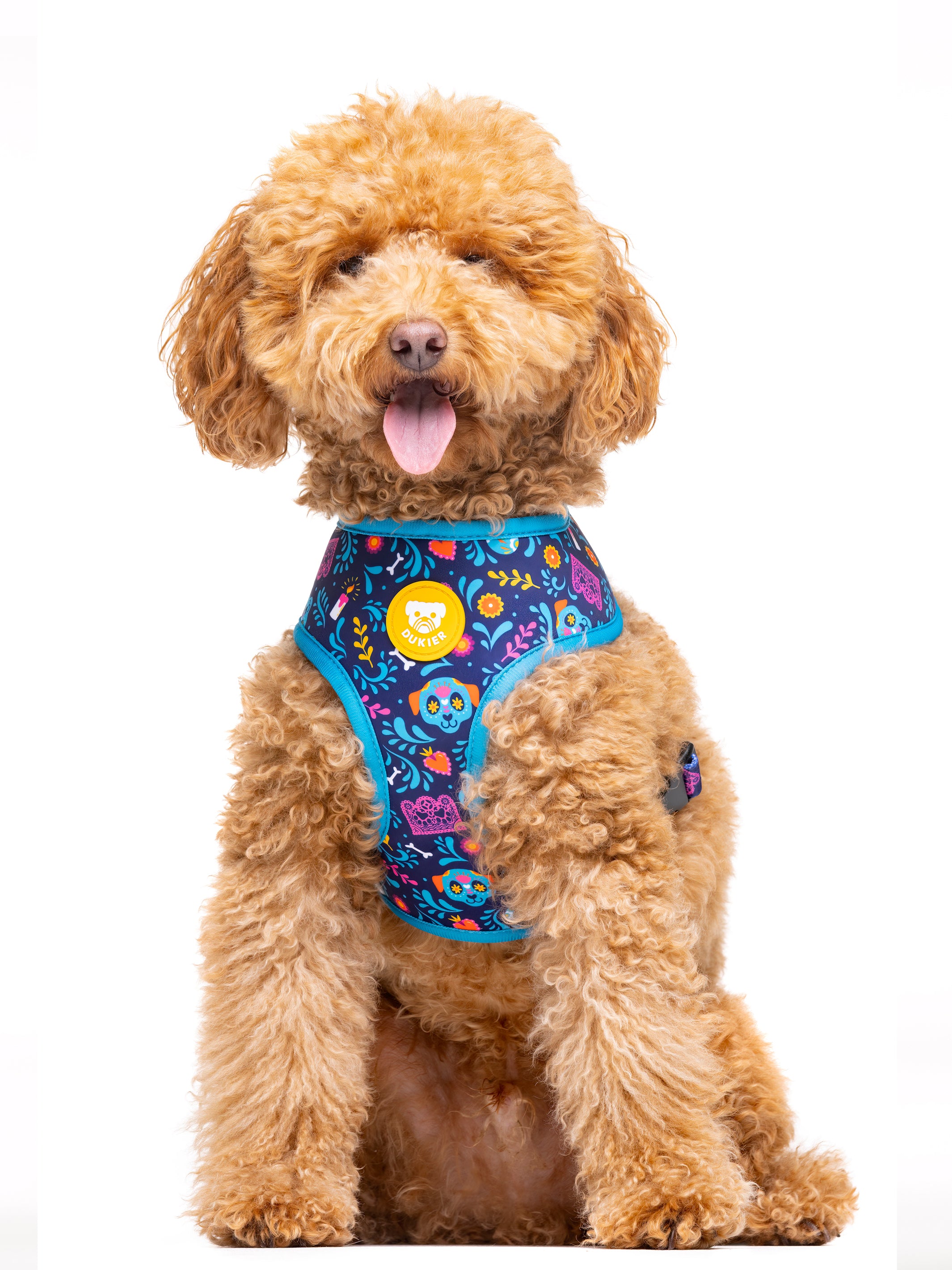 CATRINA REVERSIBLE DOG HARNESS